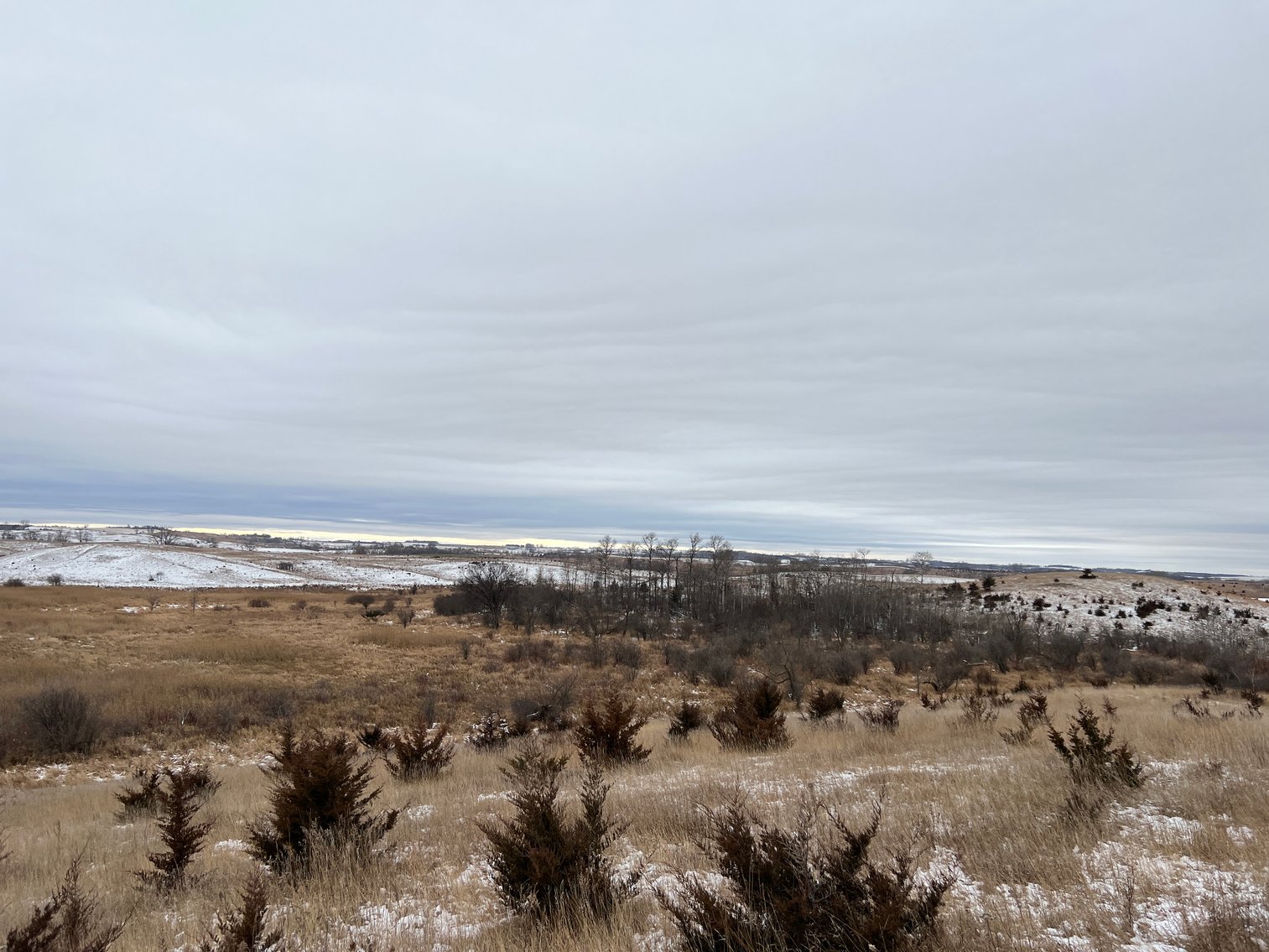 Image for Pope County - Patrick & Jenessa Huston - Pasture/Hunting Land Auction