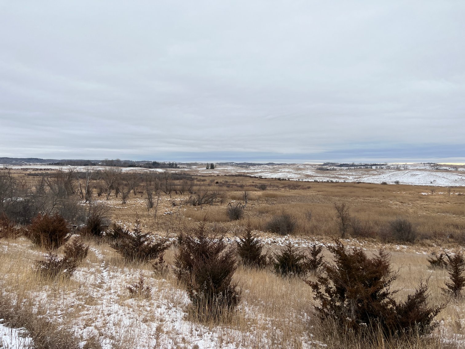 Image for Pope County - Patrick & Jenessa Huston - Pasture/Hunting Land Auction