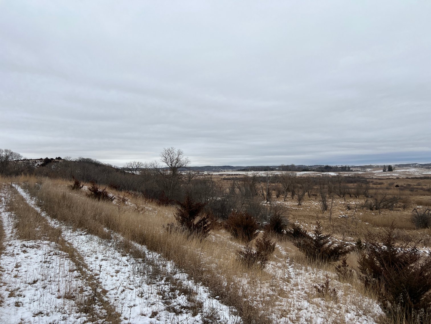Image for Pope County - Patrick & Jenessa Huston - Pasture/Hunting Land Auction