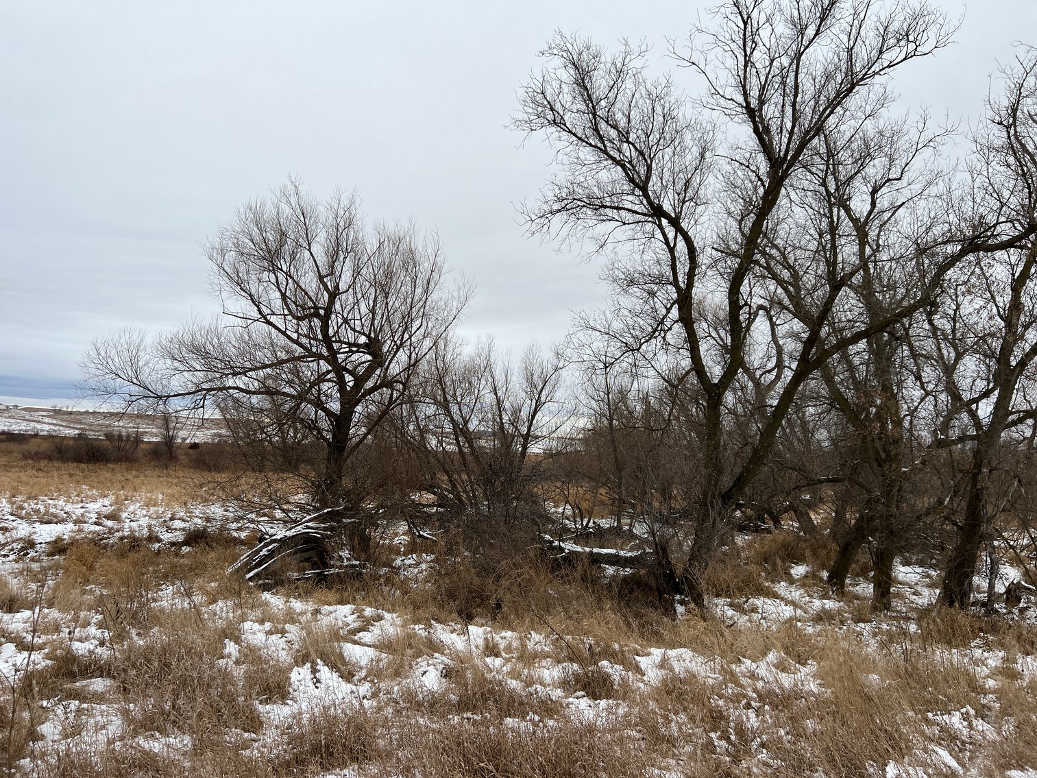 Image for Pope County - Patrick & Jenessa Huston - Pasture/Hunting Land Auction