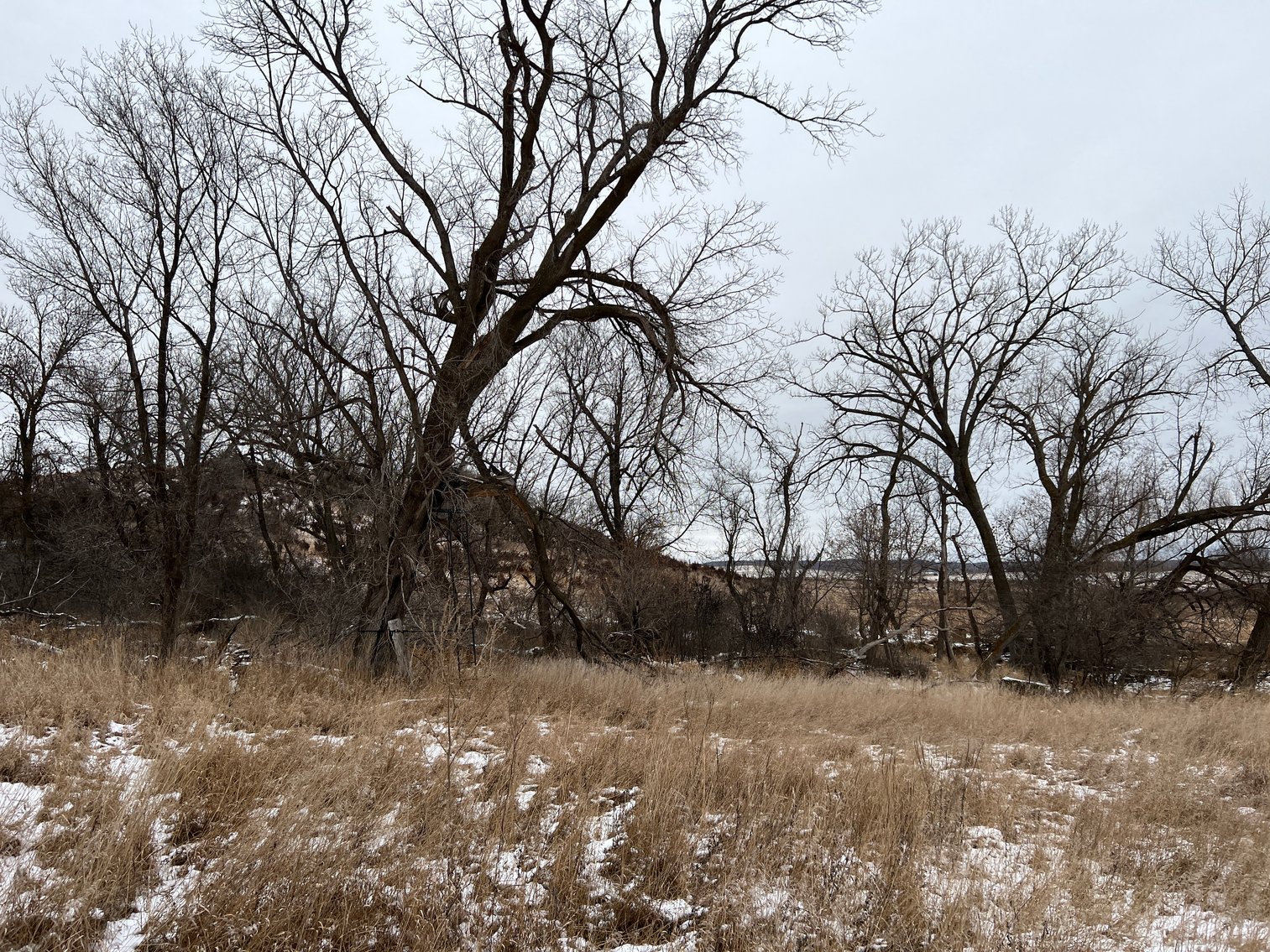 Image for Pope County - Patrick & Jenessa Huston - Pasture/Hunting Land Auction