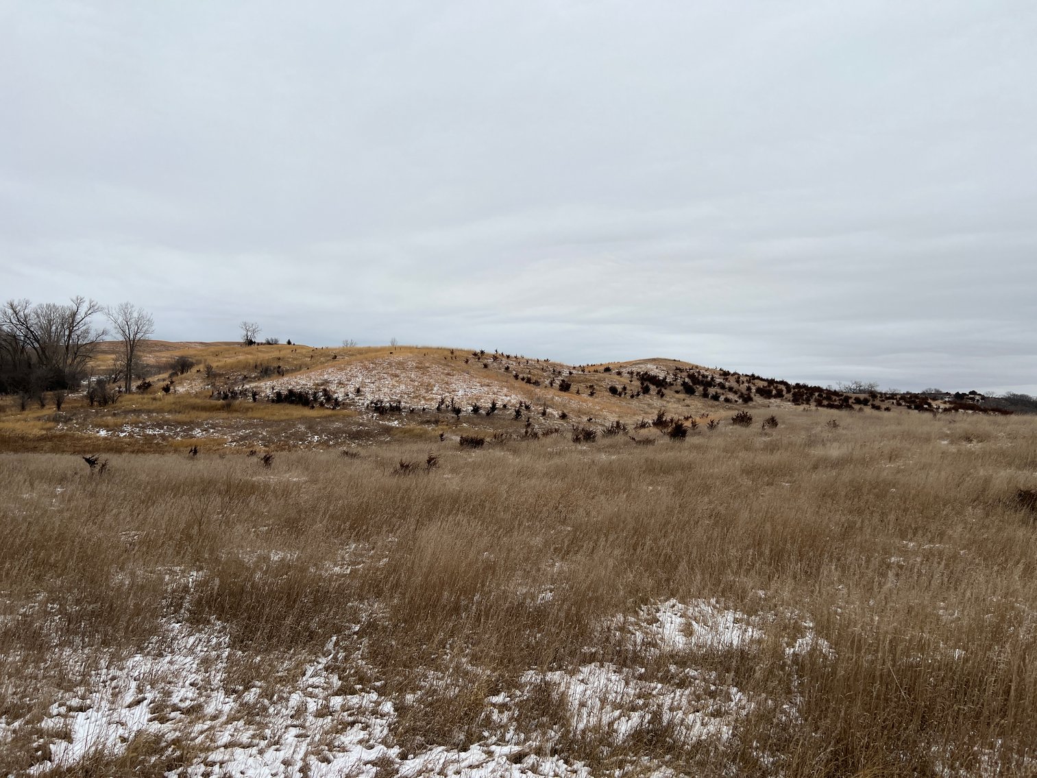 Image for Pope County - Patrick & Jenessa Huston - Pasture/Hunting Land Auction