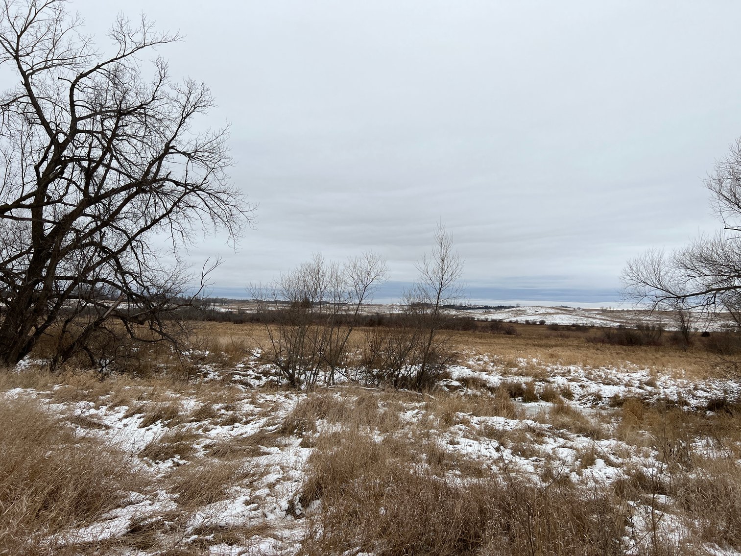 Image for Pope County - Patrick & Jenessa Huston - Pasture/Hunting Land Auction