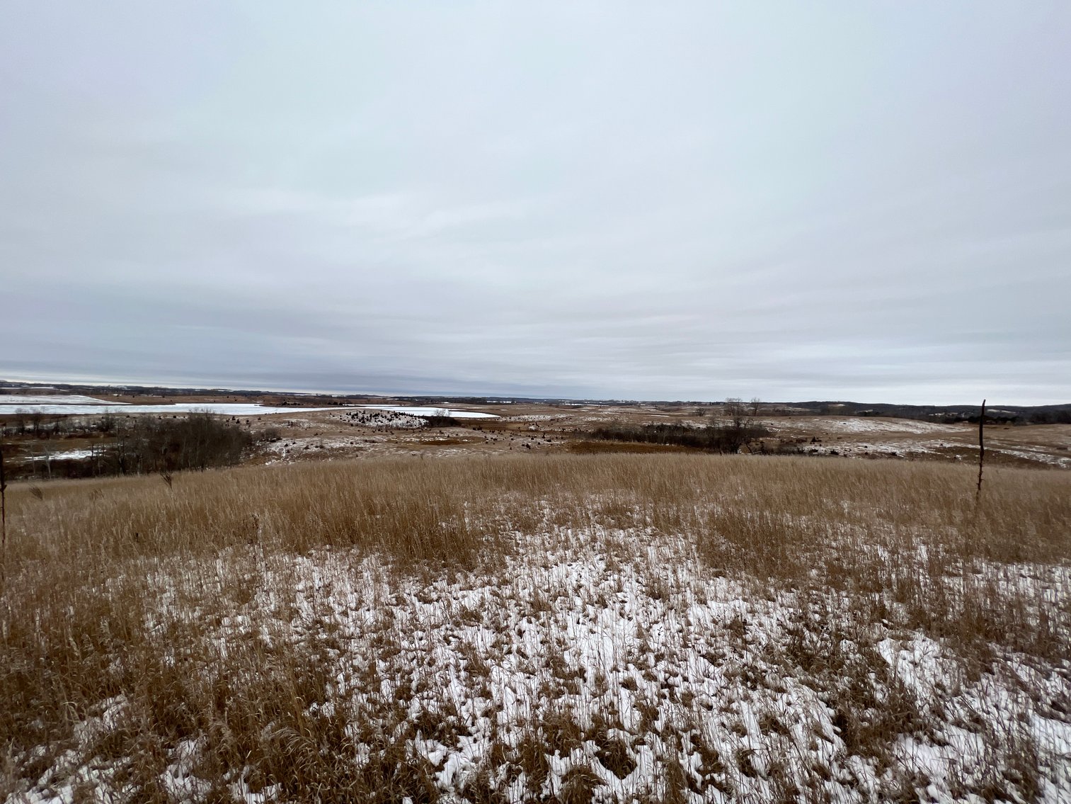 Image for Pope County - Patrick & Jenessa Huston - Pasture/Hunting Land Auction