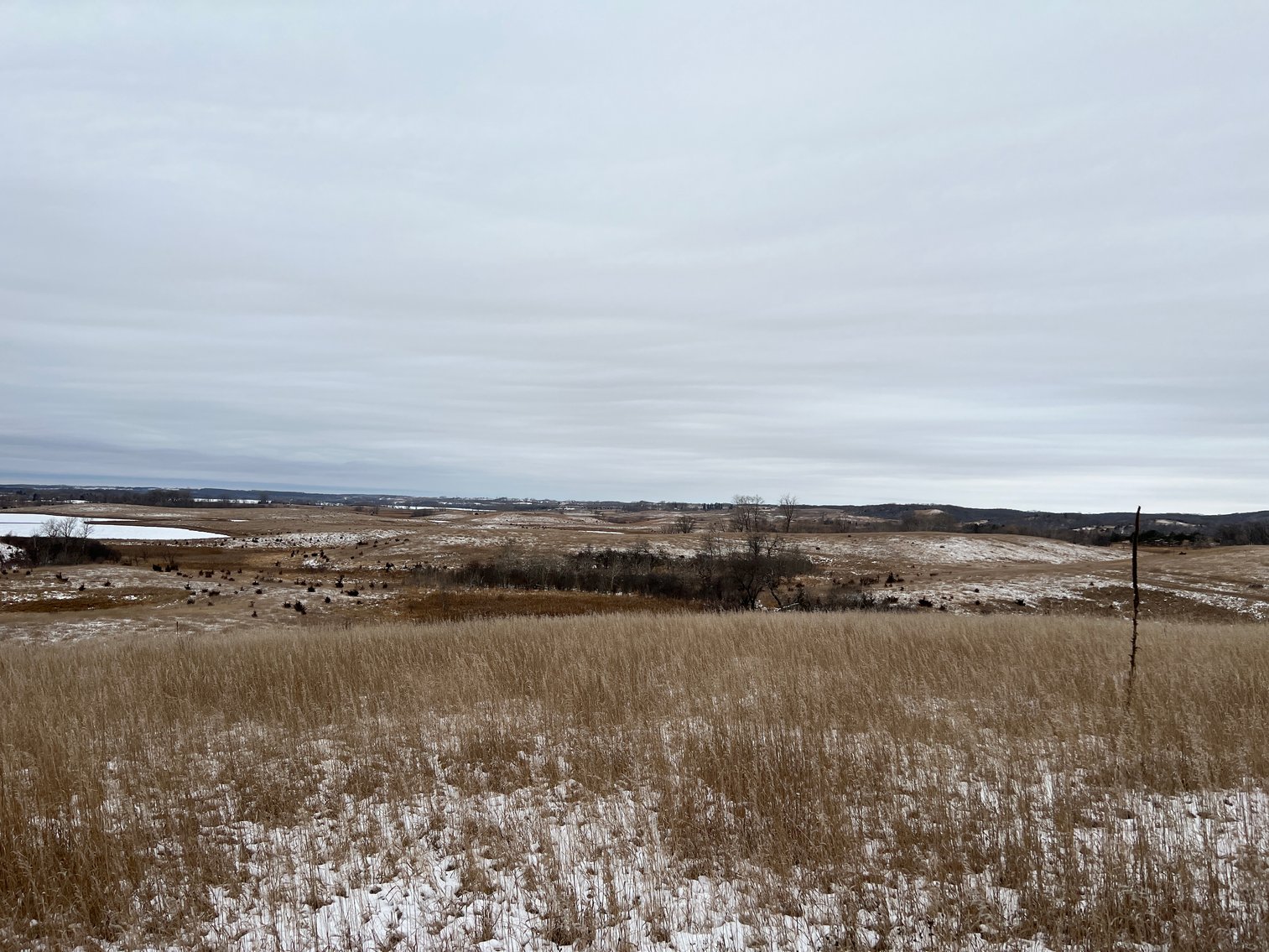 Image for Pope County - Patrick & Jenessa Huston - Pasture/Hunting Land Auction