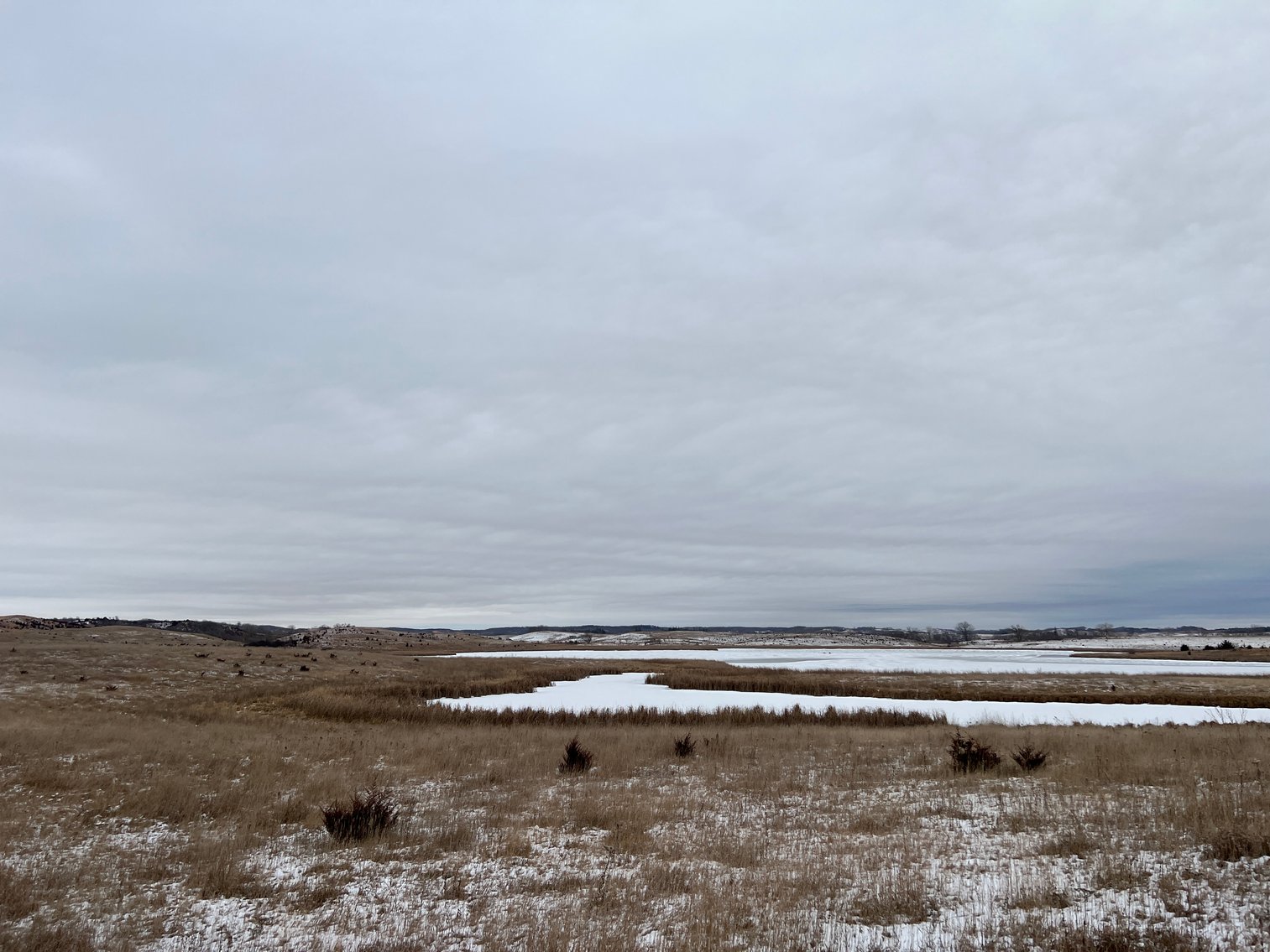 Image for Pope County - Patrick & Jenessa Huston - Pasture/Hunting Land Auction