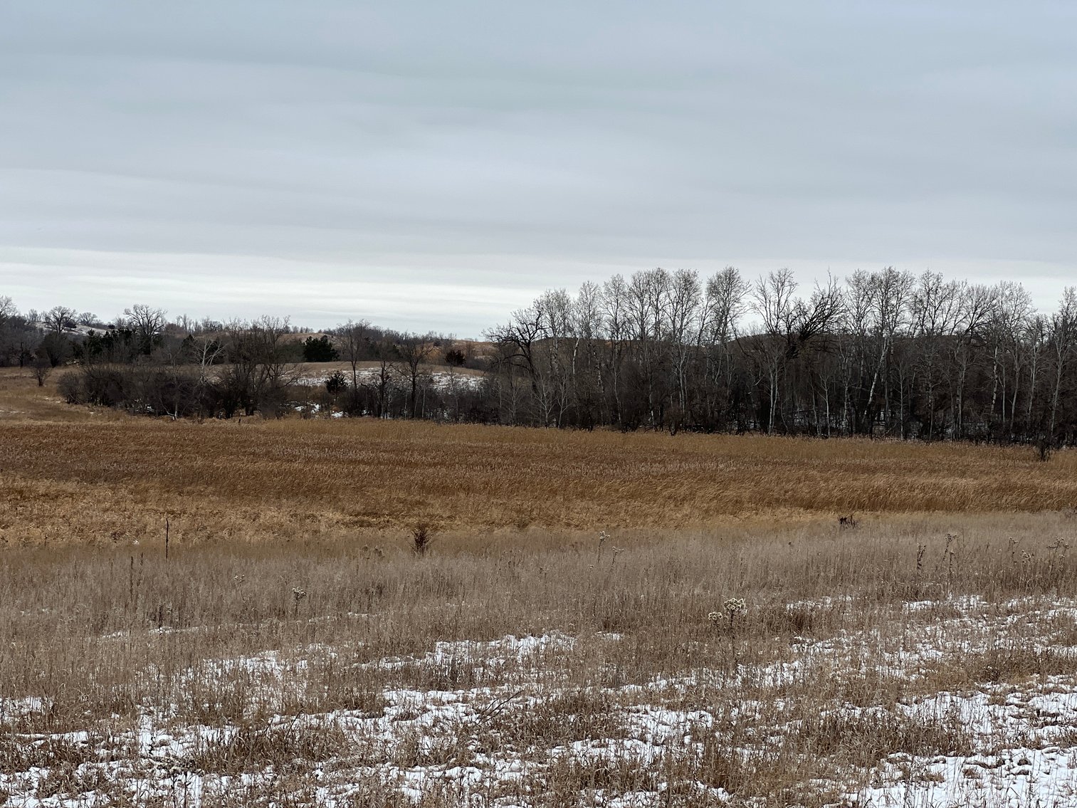 Image for Pope County - Patrick & Jenessa Huston - Pasture/Hunting Land Auction