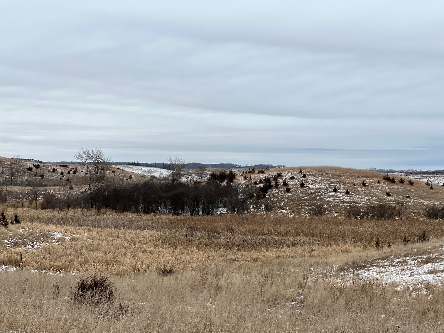 Image for Pope County - Patrick & Jenessa Huston - Pasture/Hunting Land Auction