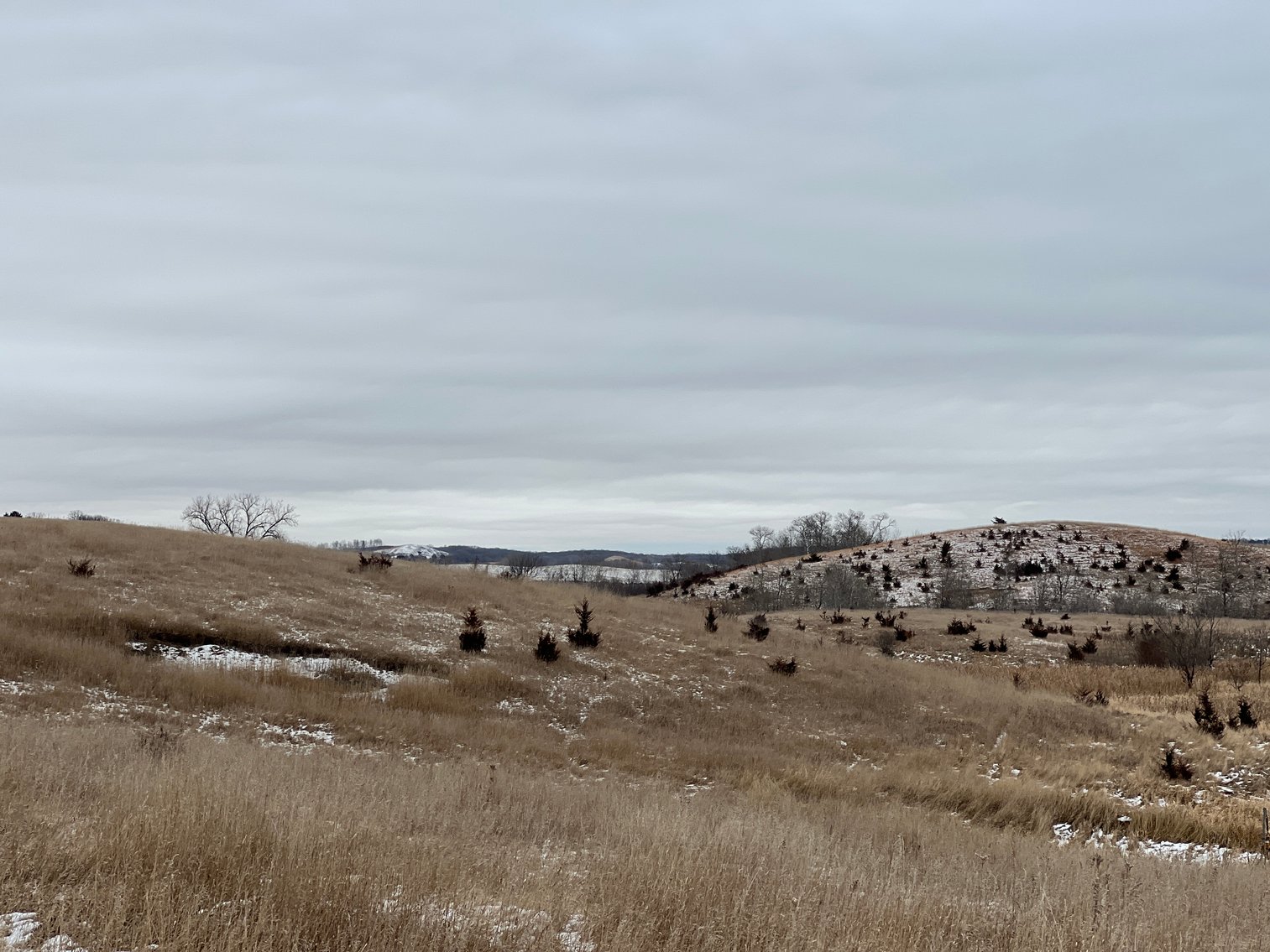 Image for Pope County - Patrick & Jenessa Huston - Pasture/Hunting Land Auction