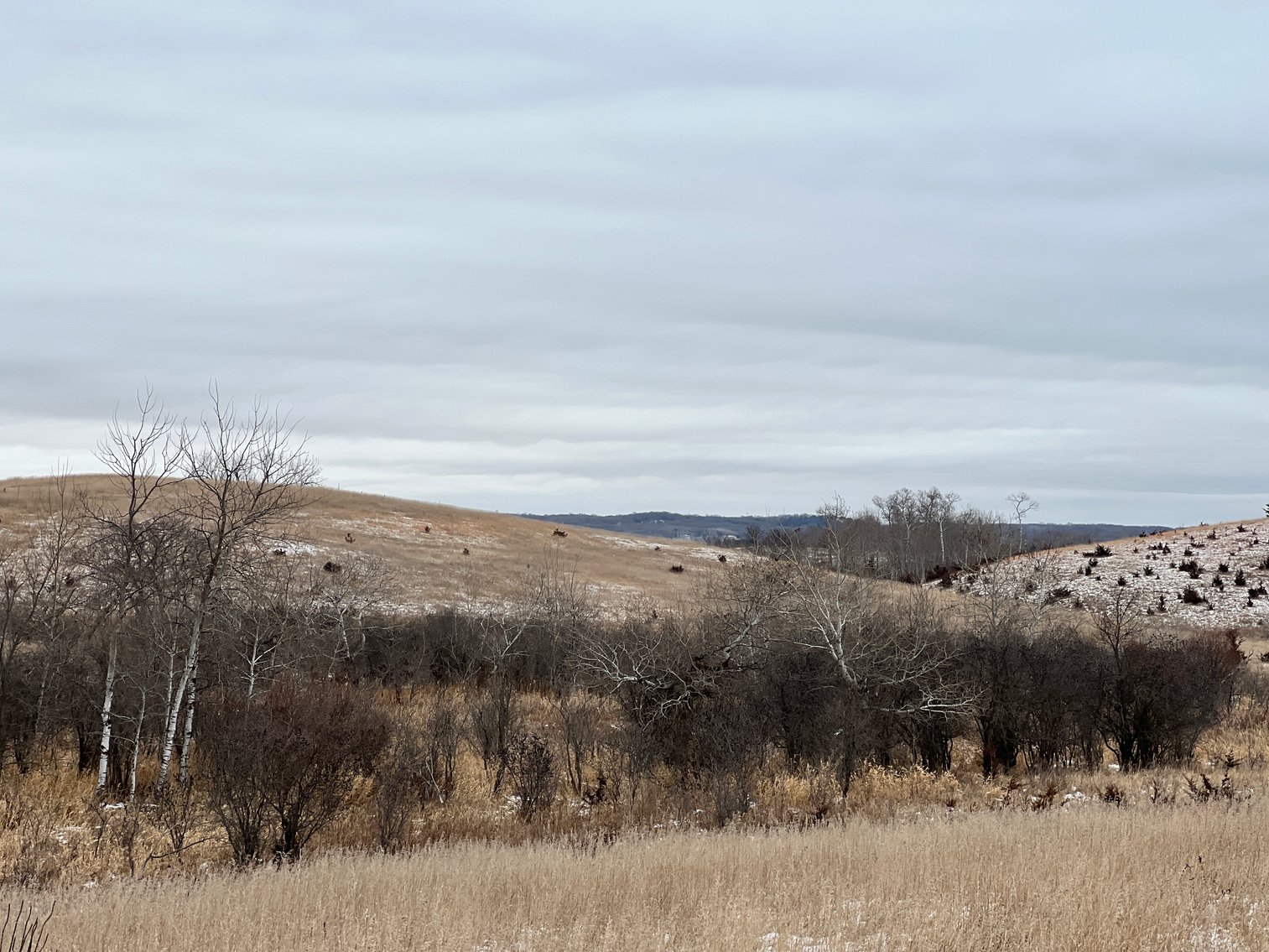 Image for Pope County - Patrick & Jenessa Huston - Pasture/Hunting Land Auction