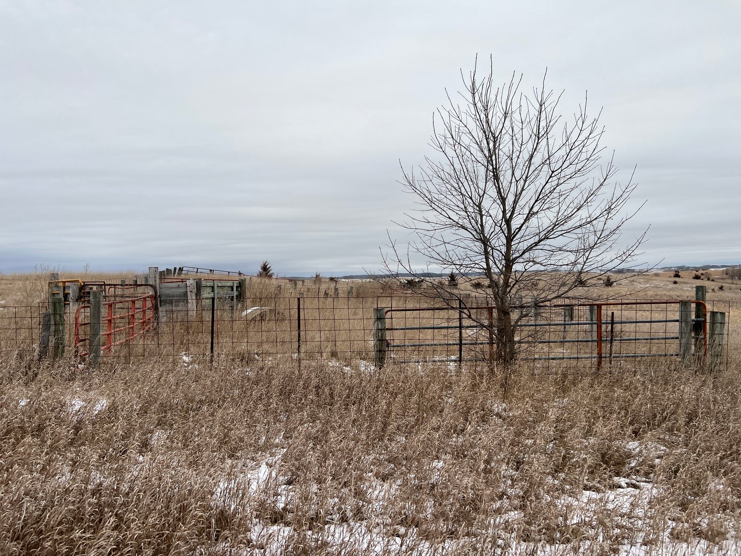 Image for Pope County - Patrick & Jenessa Huston - Pasture/Hunting Land Auction
