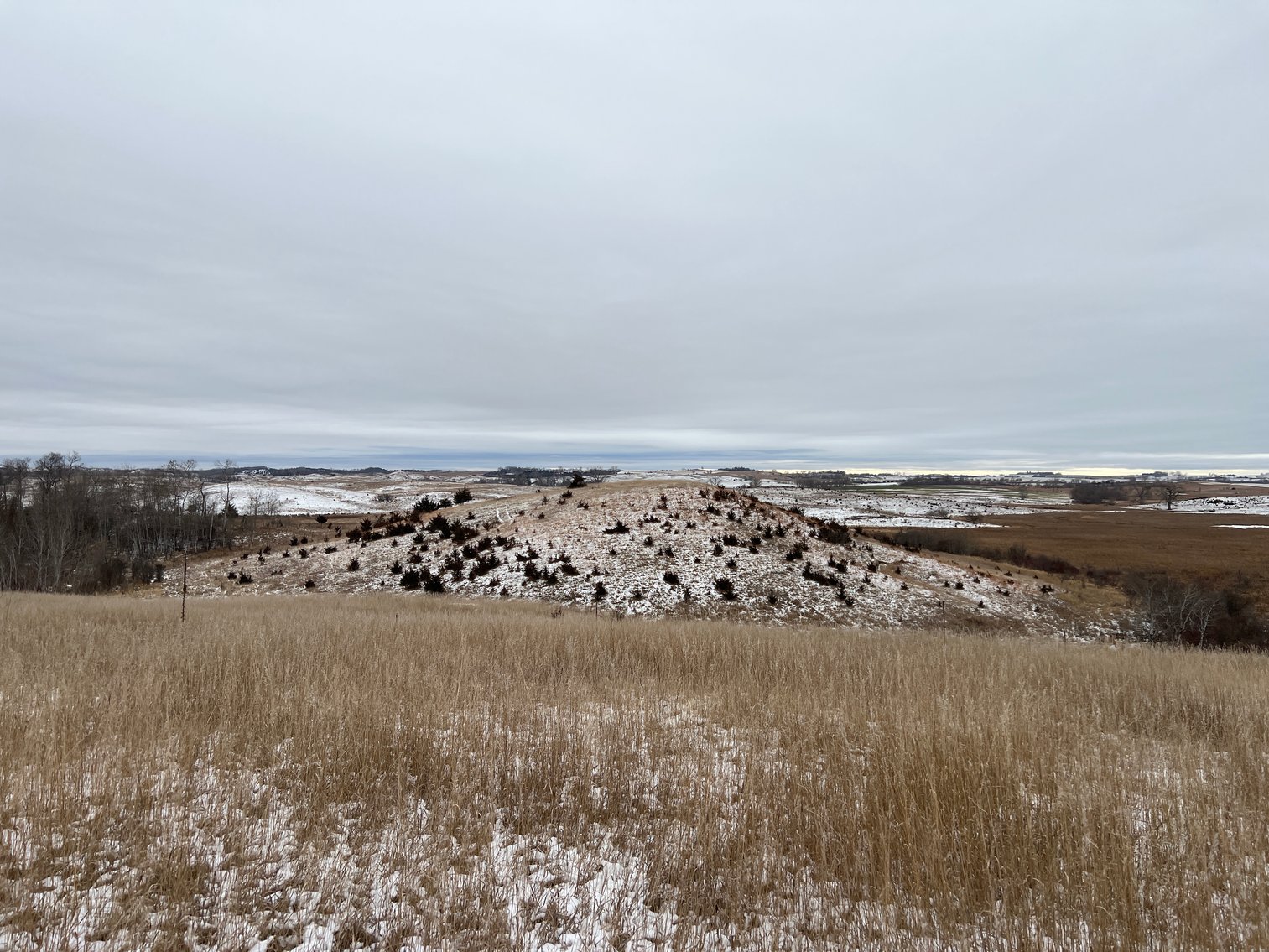 Image for Pope County - Patrick & Jenessa Huston - Pasture/Hunting Land Auction