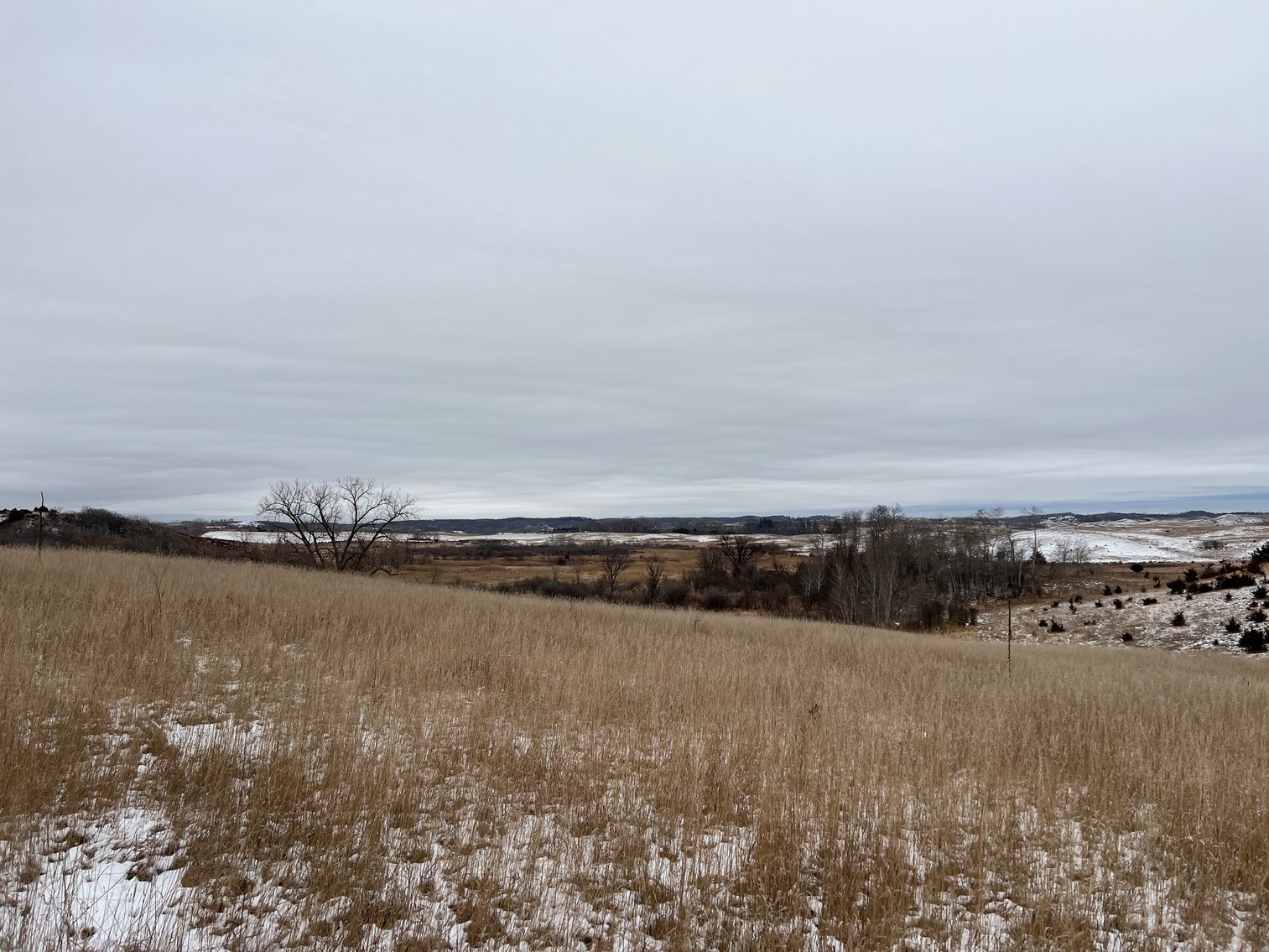 Image for Pope County - Patrick & Jenessa Huston - Pasture/Hunting Land Auction