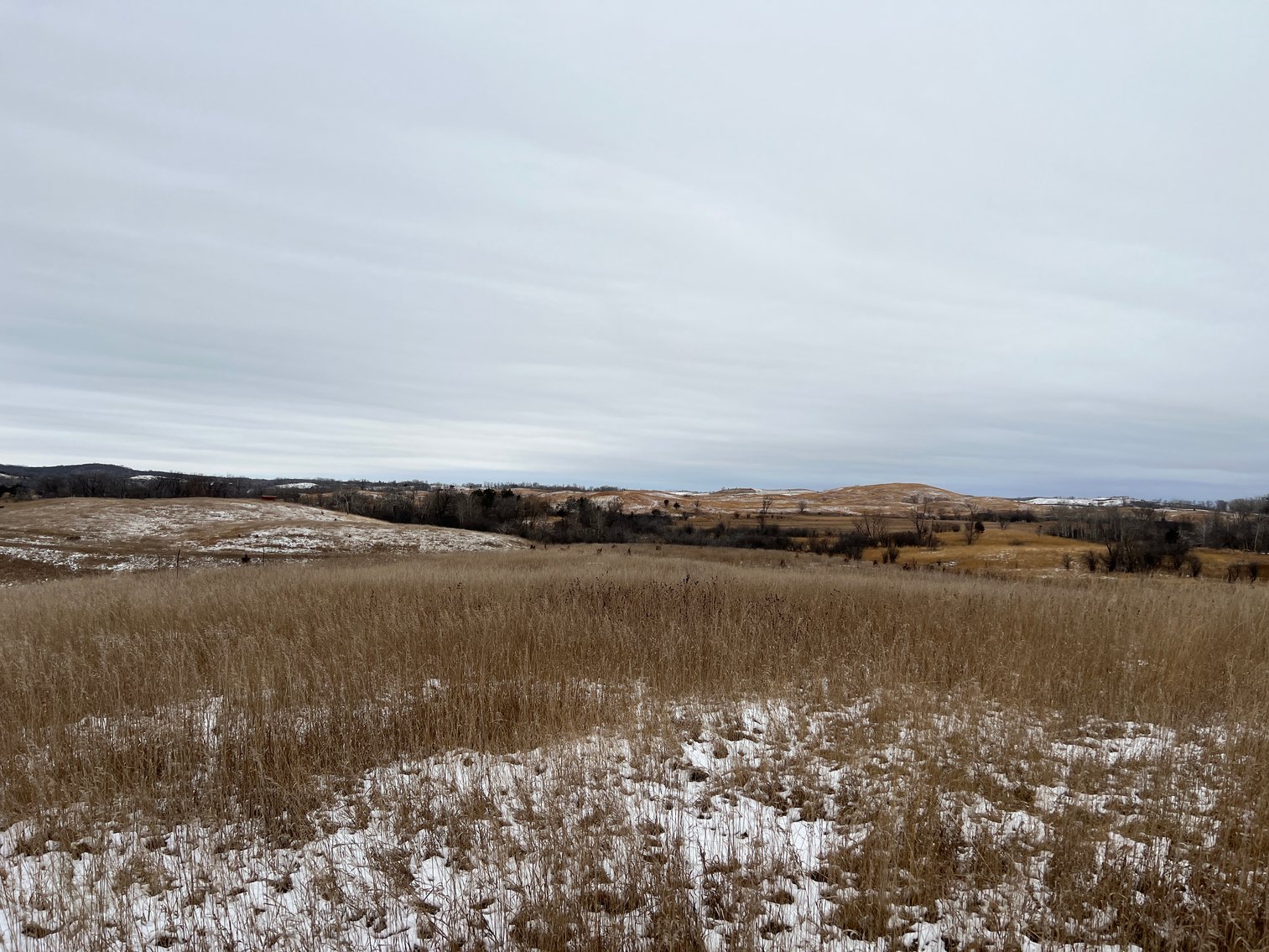 Image for Pope County - Patrick & Jenessa Huston - Pasture/Hunting Land Auction