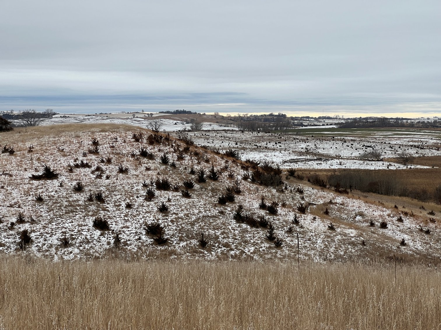 Image for Pope County - Patrick & Jenessa Huston - Pasture/Hunting Land Auction
