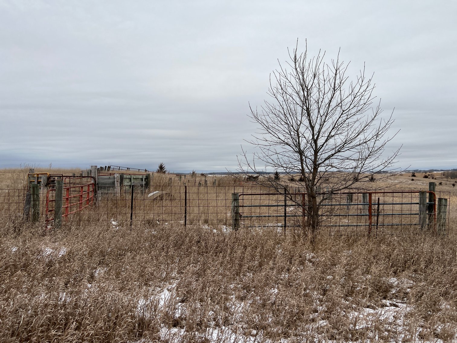 Image for Pope County - Patrick & Jenessa Huston - Pasture/Hunting Land Auction