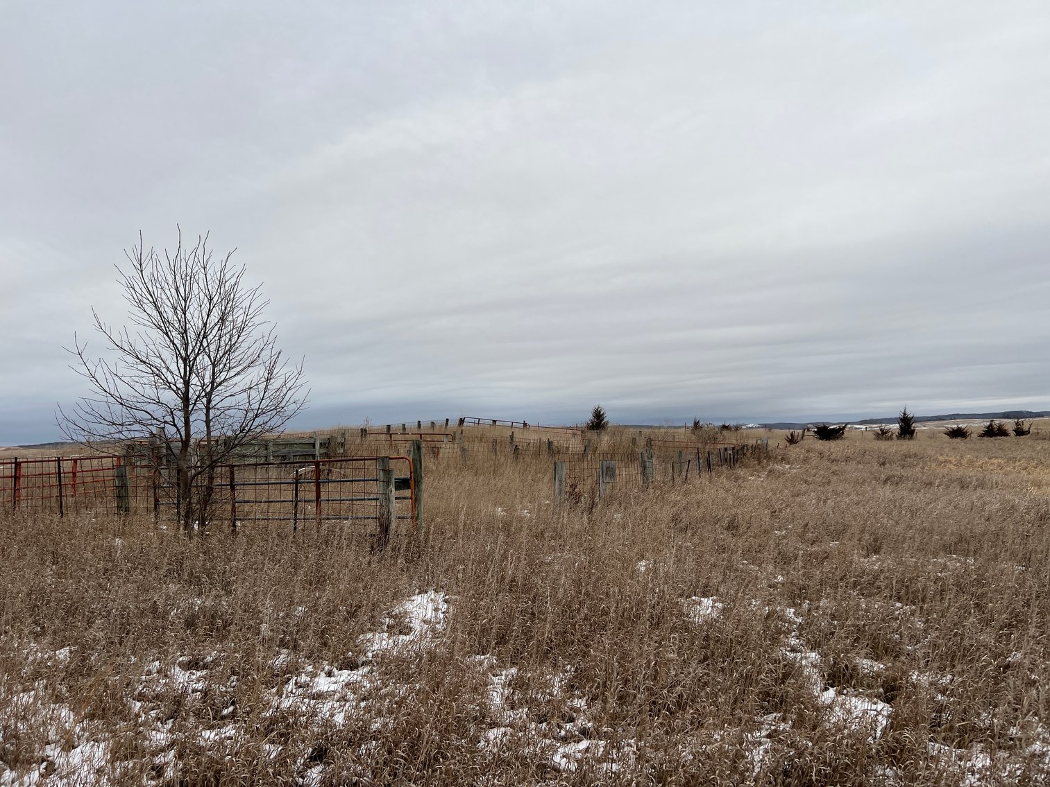 Image for Pope County - Patrick & Jenessa Huston - Pasture/Hunting Land Auction