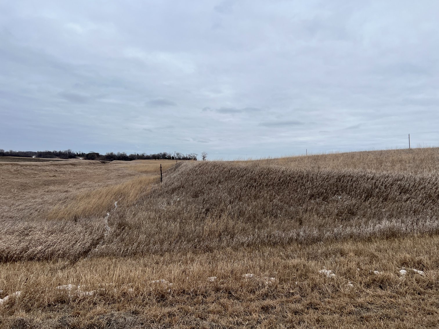 Image for Yellow Medicine County - Rosetter Land Auction