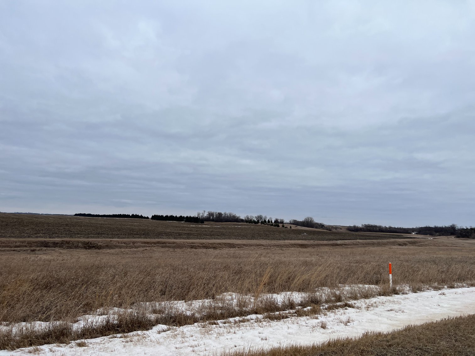 Image for Yellow Medicine County - Rosetter Land Auction