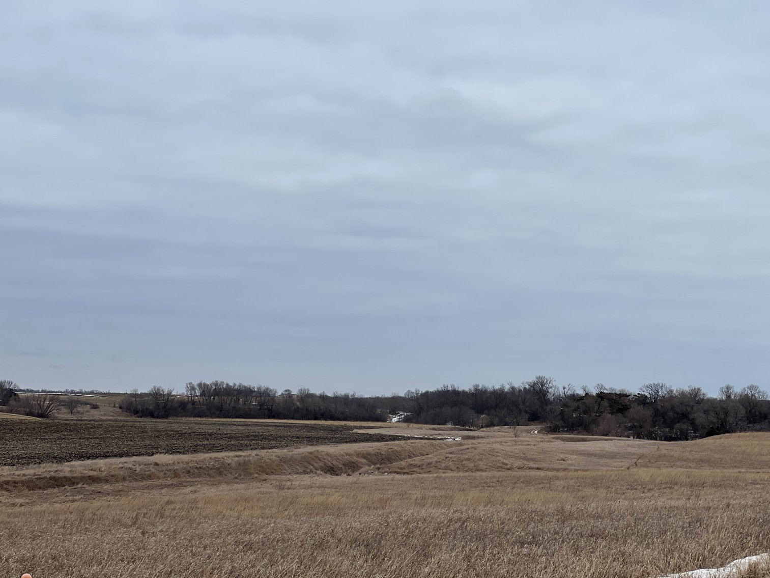 Image for Yellow Medicine County - Rosetter Land Auction