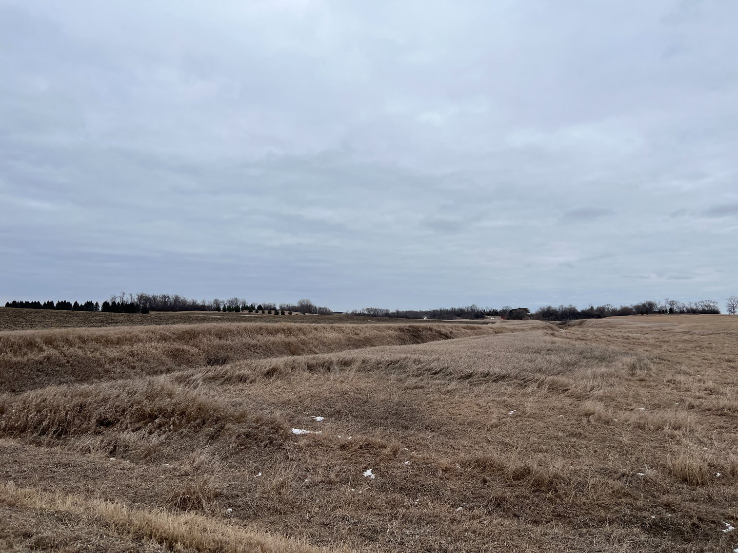 Image for Yellow Medicine County - Rosetter Land Auction