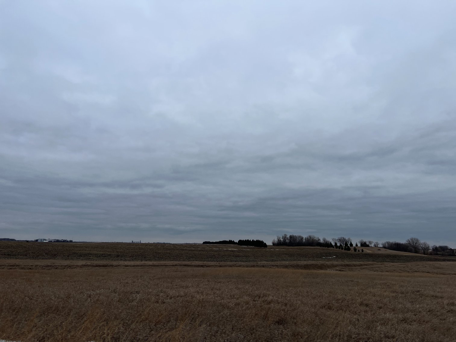 Image for Yellow Medicine County - Rosetter Land Auction