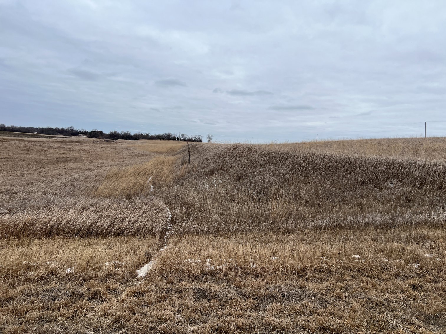 Image for Yellow Medicine County - Rosetter Land Auction