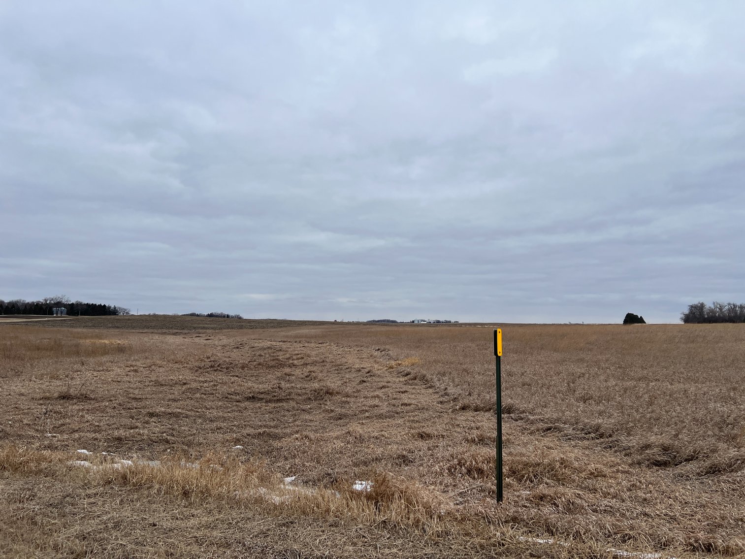 Image for Yellow Medicine County - Rosetter Land Auction