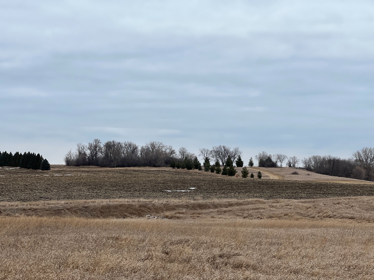 Image for Yellow Medicine County - Rosetter Land Auction