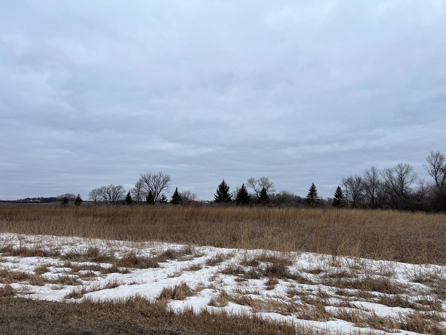 Image for Yellow Medicine County - Rosetter Land Auction