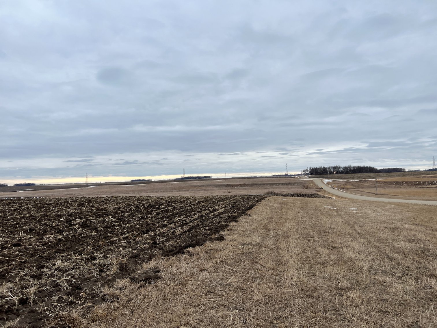 Image for Yellow Medicine County - Rosetter Land Auction