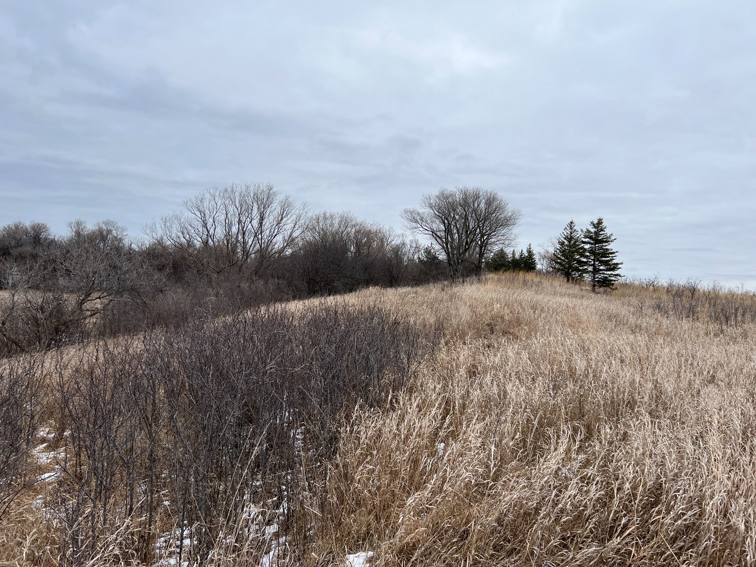 Image for Yellow Medicine County - Rosetter Land Auction