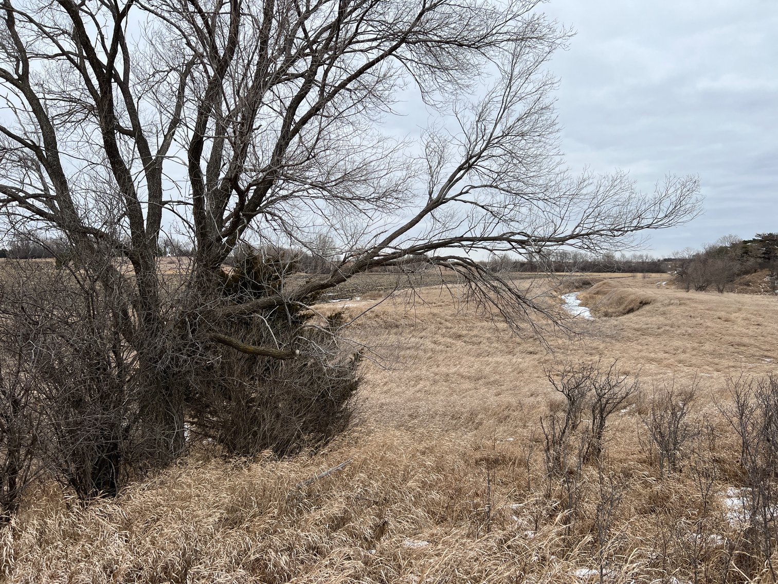 Image for Yellow Medicine County - Rosetter Land Auction