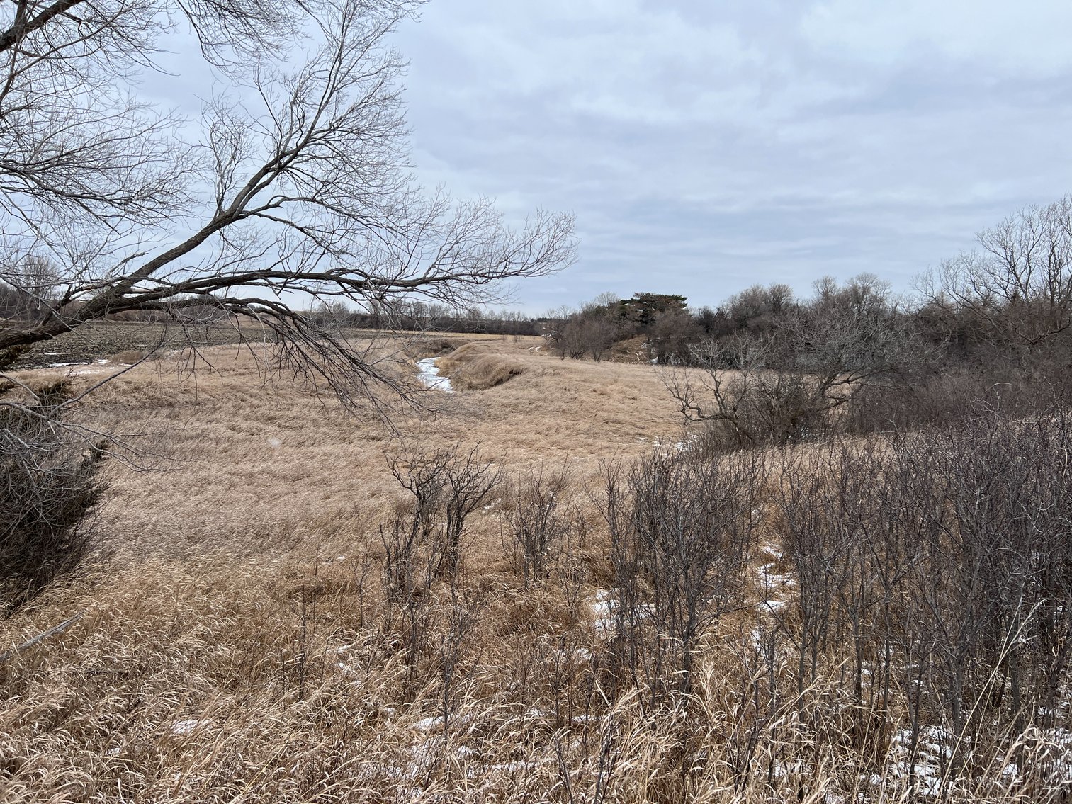 Image for Yellow Medicine County - Rosetter Land Auction
