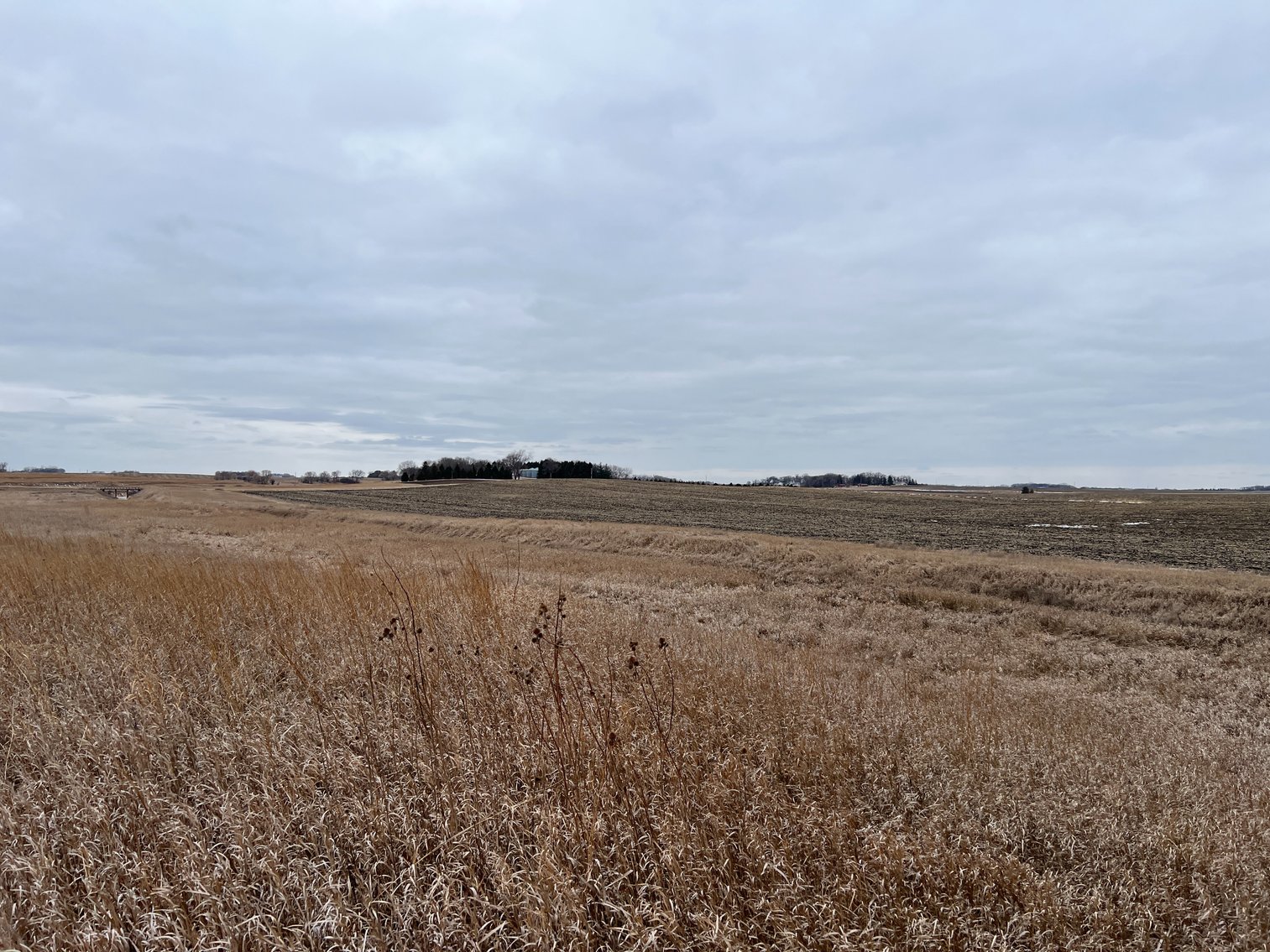 Image for Yellow Medicine County - Rosetter Land Auction