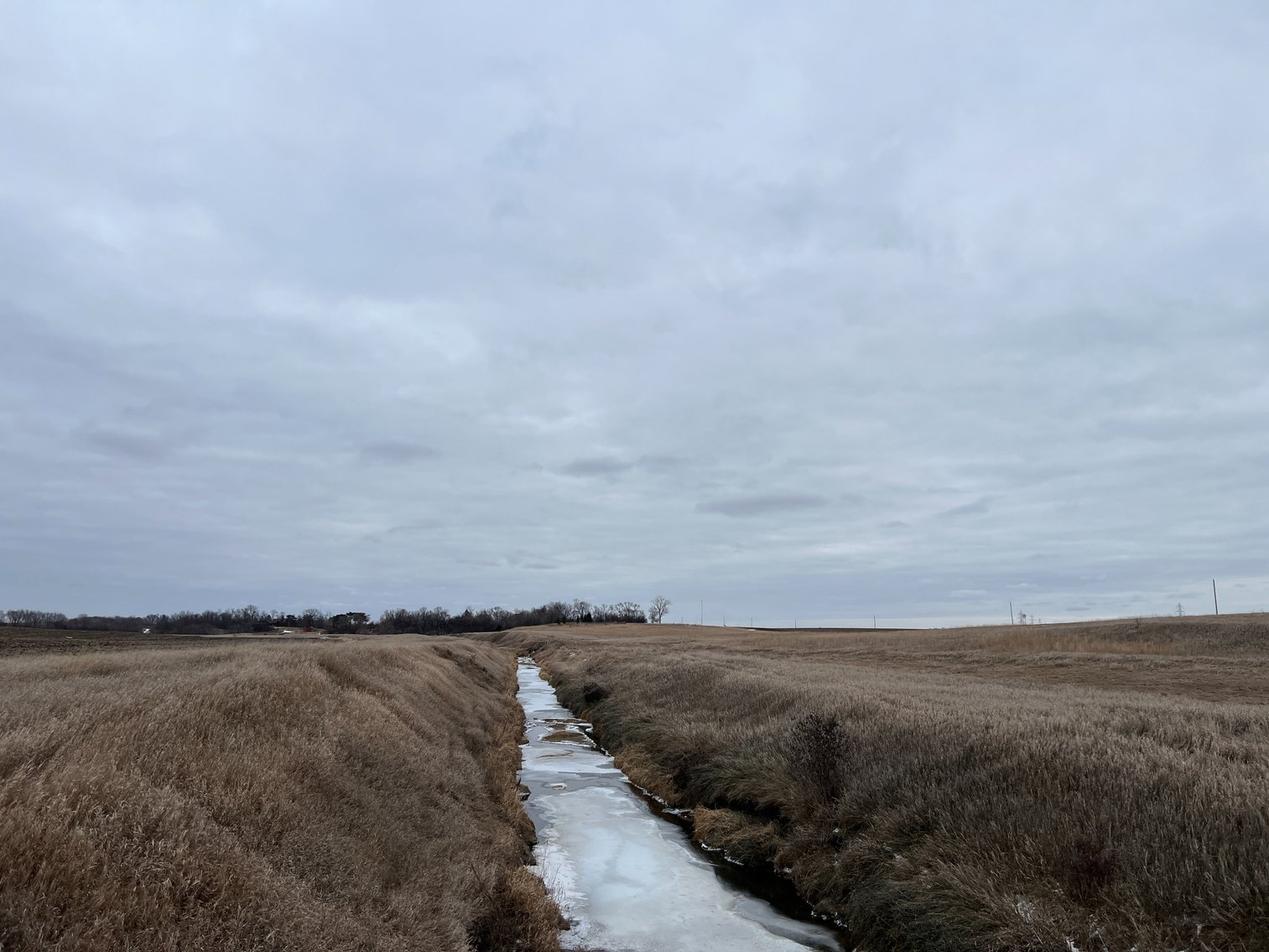 Image for Yellow Medicine County - Rosetter Land Auction