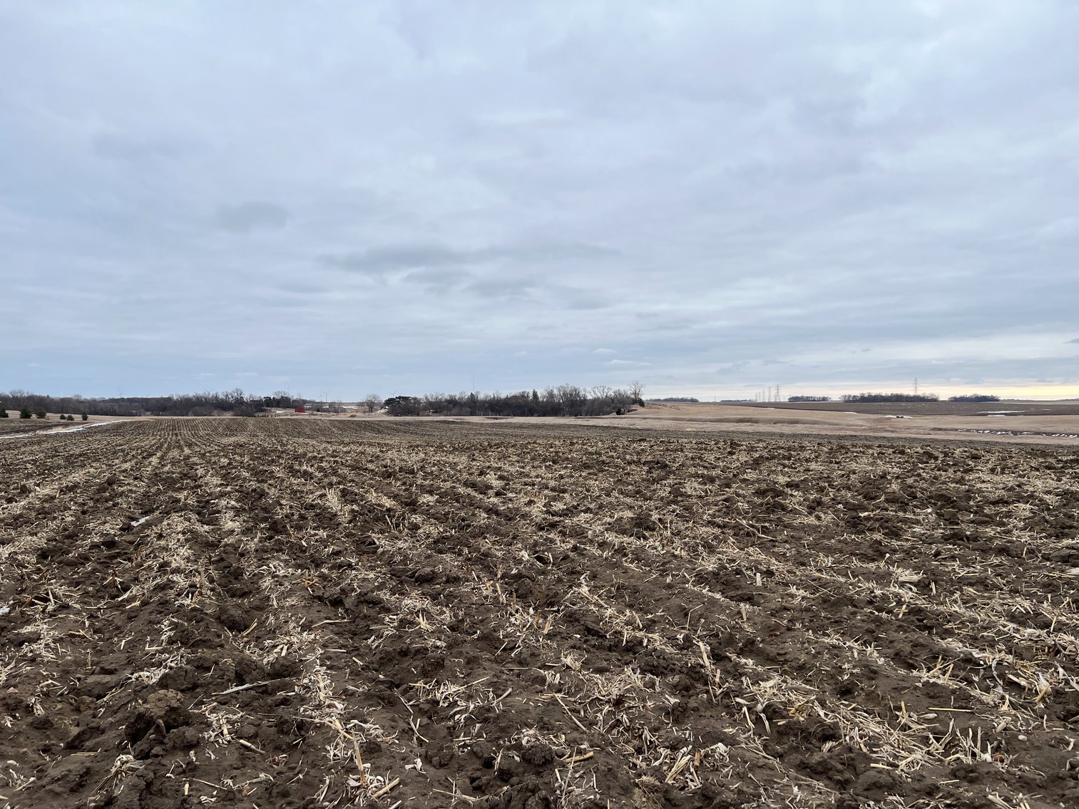 Image for Yellow Medicine County - Rosetter Land Auction