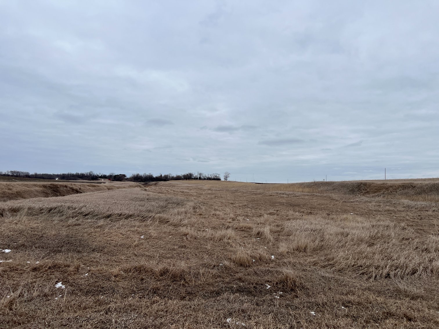 Image for Yellow Medicine County - Rosetter Land Auction