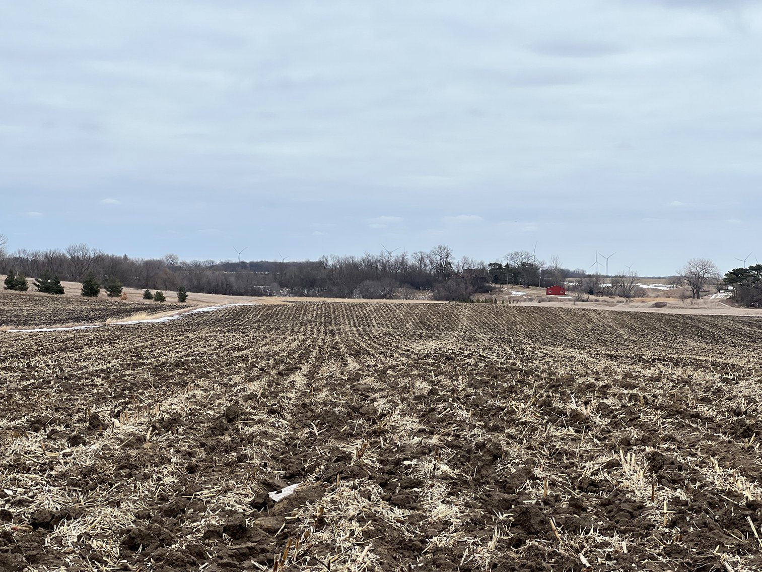 Image for Yellow Medicine County - Rosetter Land Auction
