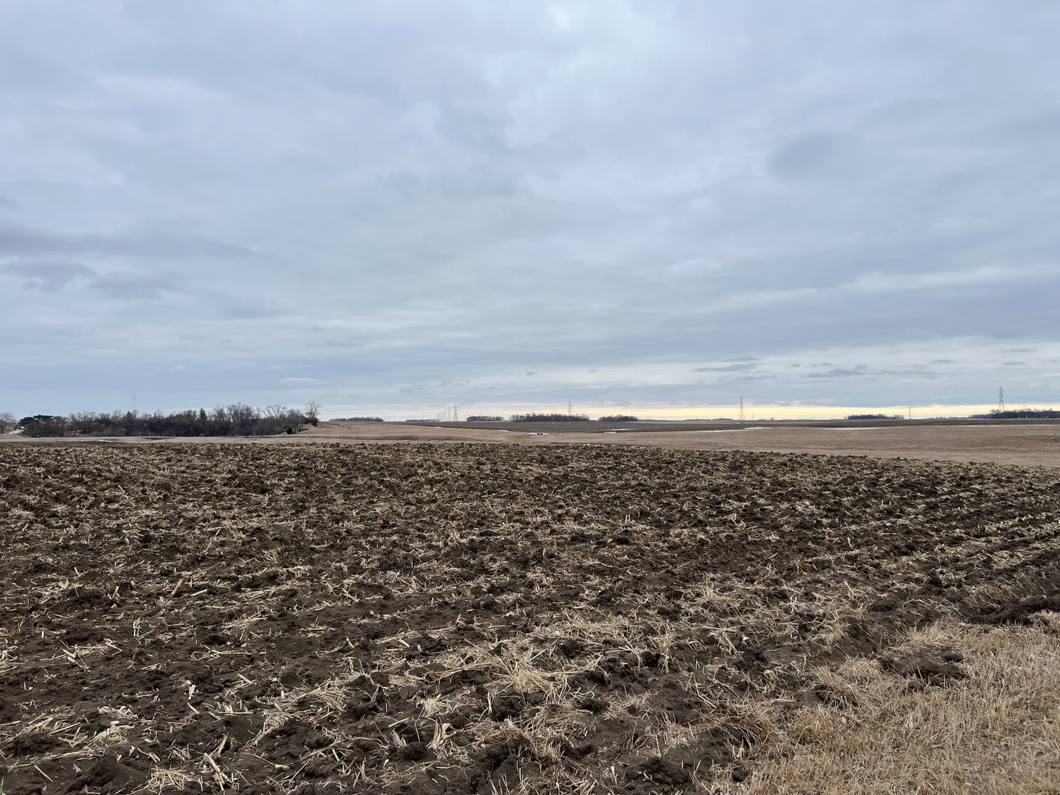 Image for Yellow Medicine County - Rosetter Land Auction