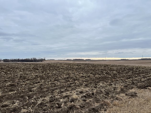 Image for Yellow Medicine County - Rosetter Land Auction