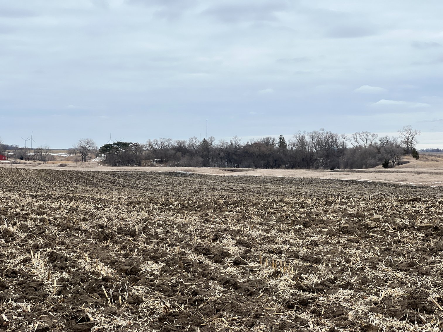 Image for Yellow Medicine County - Rosetter Land Auction