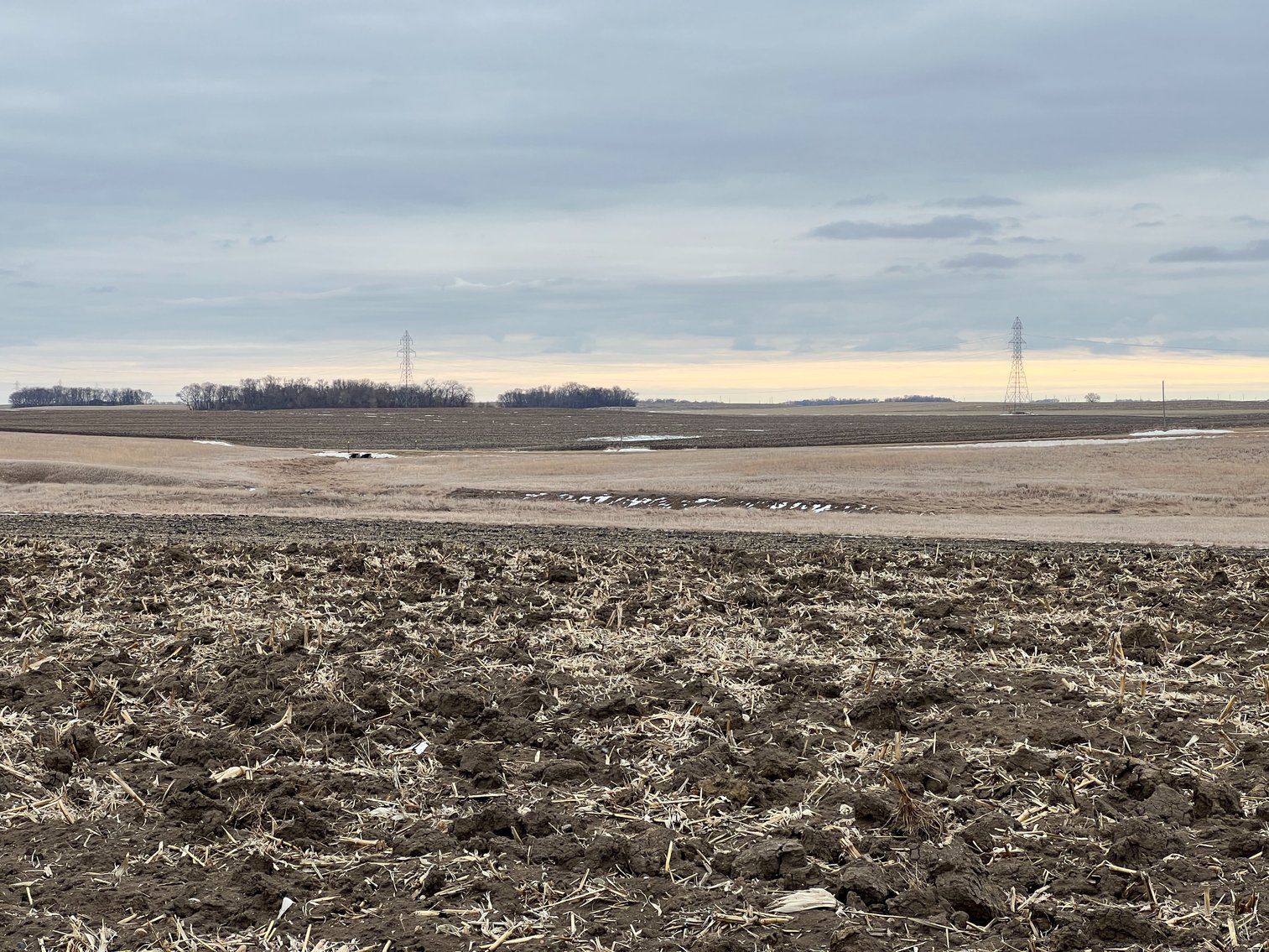 Image for Yellow Medicine County - Rosetter Land Auction