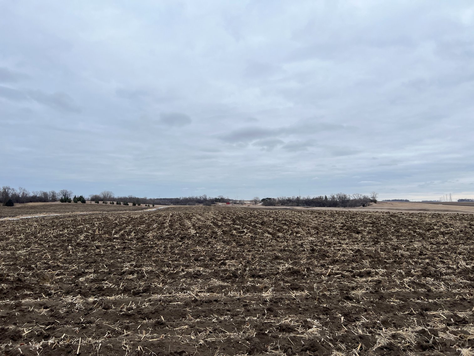 Image for Yellow Medicine County - Rosetter Land Auction