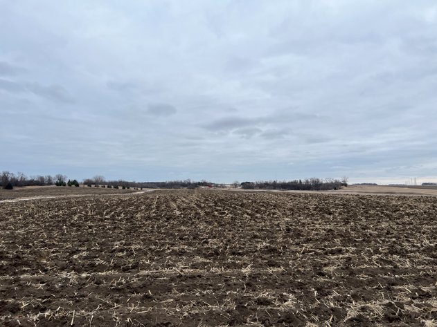 Image for Yellow Medicine County - Rosetter Land Auction