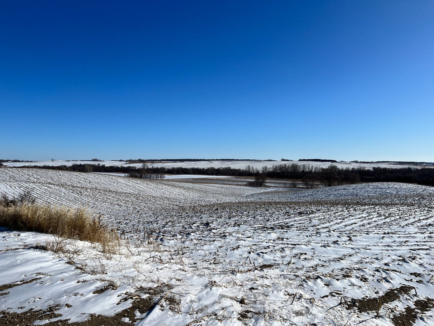 Image for Pope County - Brian & Laura Jergenson Land Auction