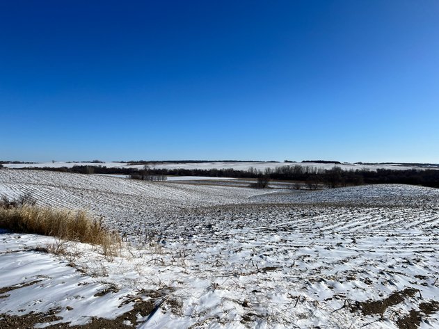 Image for Pope County - Brian & Laura Jergenson Land Auction