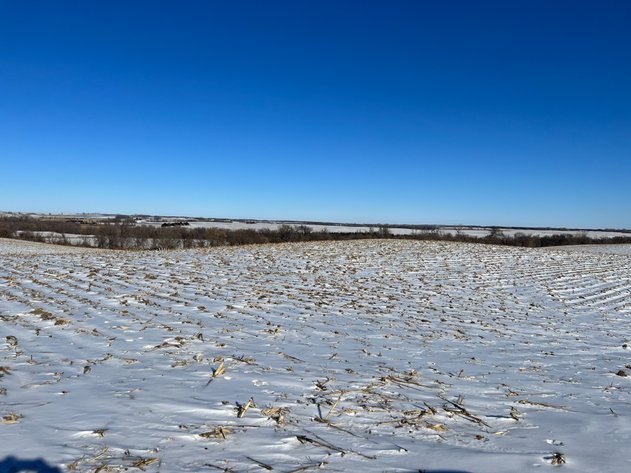 Image for Pope County - Brian & Laura Jergenson Land Auction