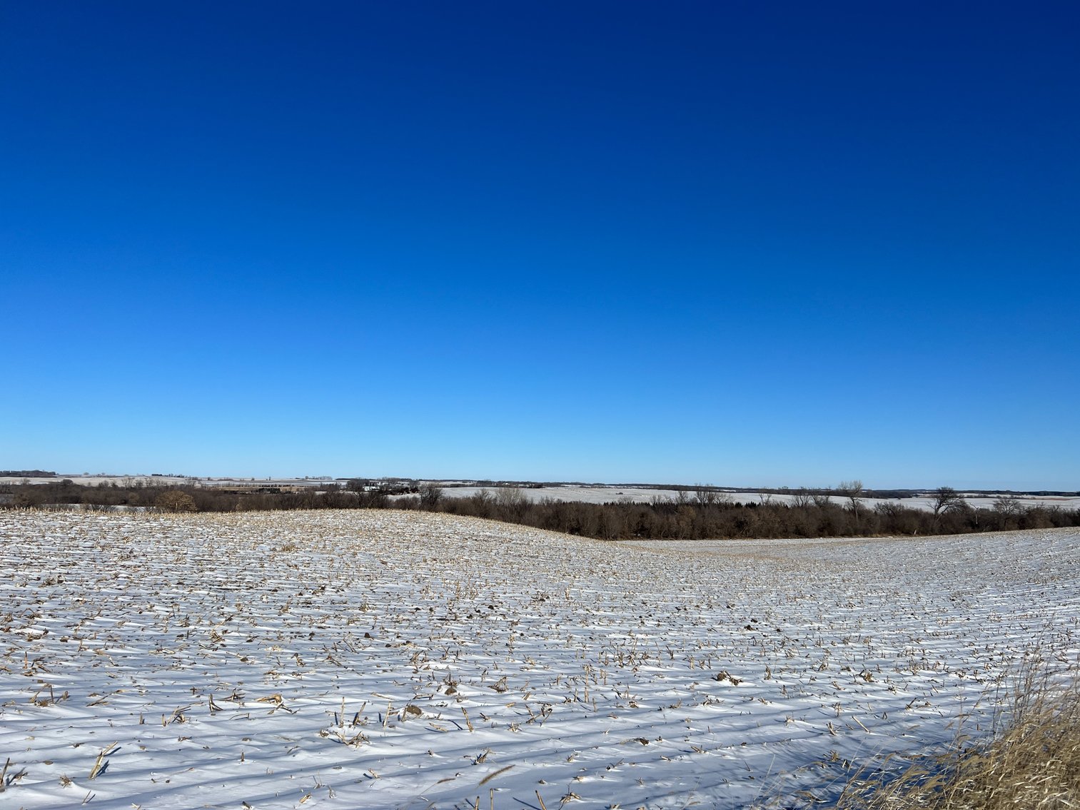 Image for Pope County - Brian & Laura Jergenson Land Auction