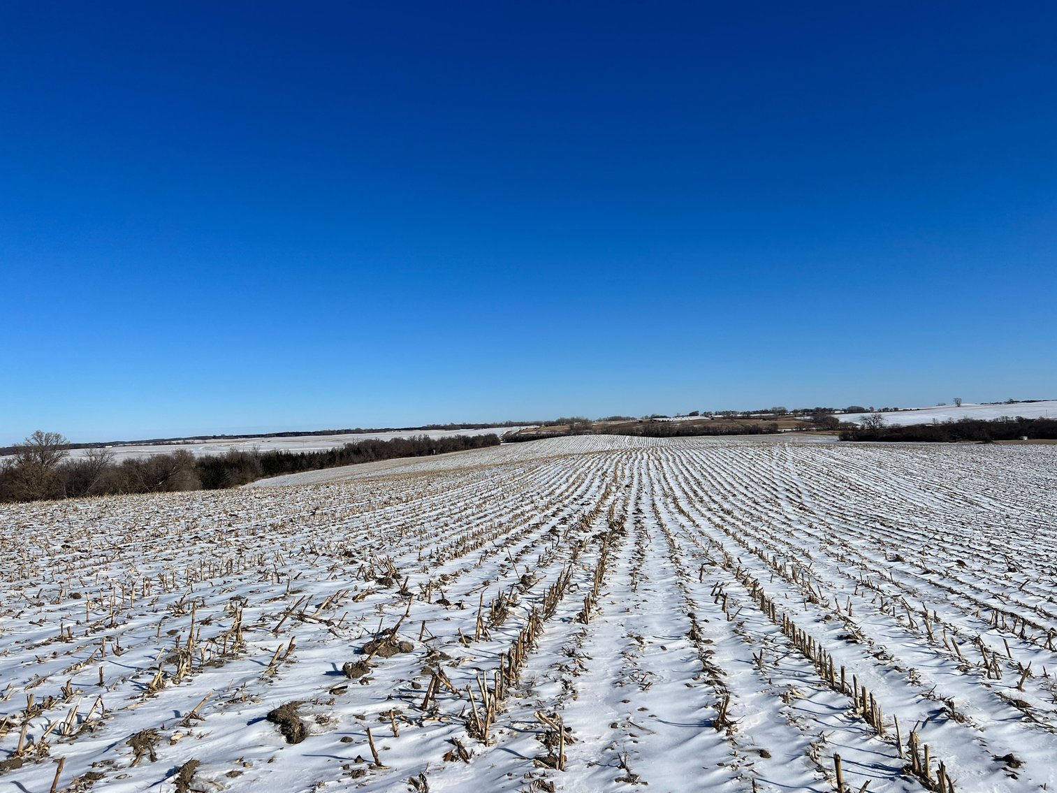 Image for Pope County - Brian & Laura Jergenson Land Auction